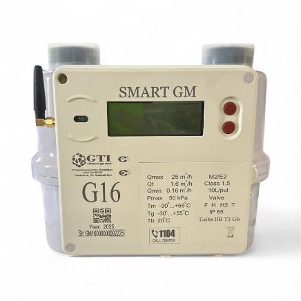 SMART GM residential meter
